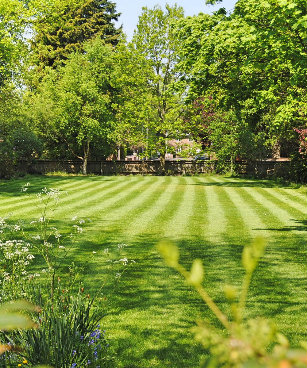 professional lawn care & Fertilizing port st lucie fl